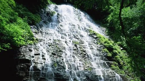 科技高效